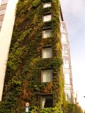 Athenaeum hotel