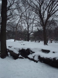 DSC01560