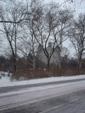 DSC01566